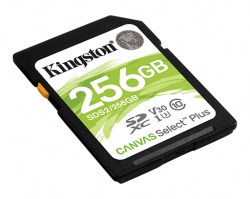 ktc-product-flash-sdcards-sds2-256gb-2-sm